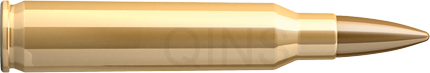 GGG 223 REM. - FMJ 62gr