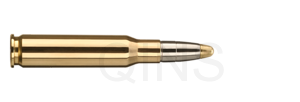 RWS .308 Win. EVO 11,9g