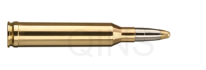 RWS EVO 7mm Rem.Mag. 10,3g