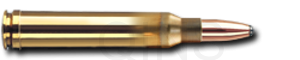 GECO .300 Win. Magnum 11,0g