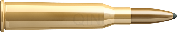 SB 6,5 × 57 R - SP