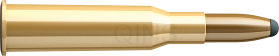 SB 7,62 × 54 R - SP