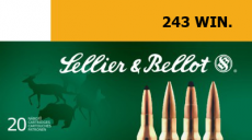 SB 243 WIN. - SP
